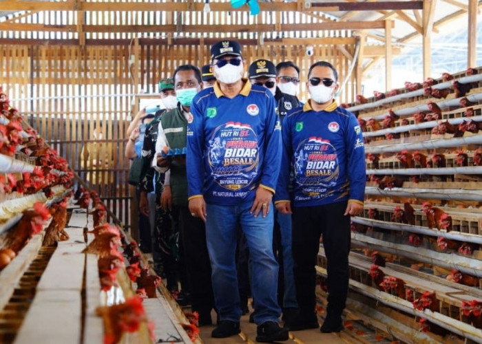 Tinjau Peternakan Ayam Hingga Ikan Patin, Bupati Muba Genjot Ketahanan Pangan di Bayung Lencir