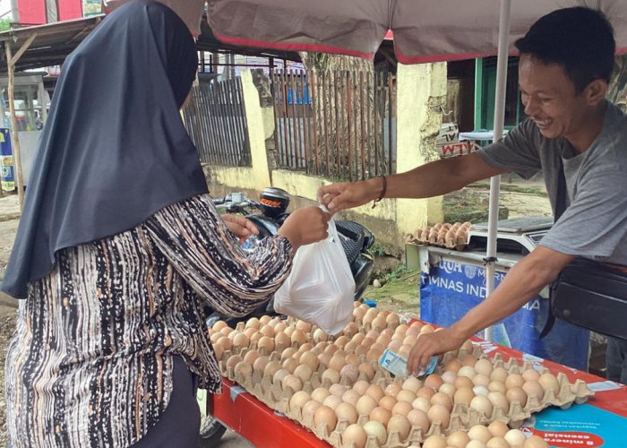 Harga Telur Ayam di Palembang Kembali Normal, Sekilo Berkisar Rp 24.000