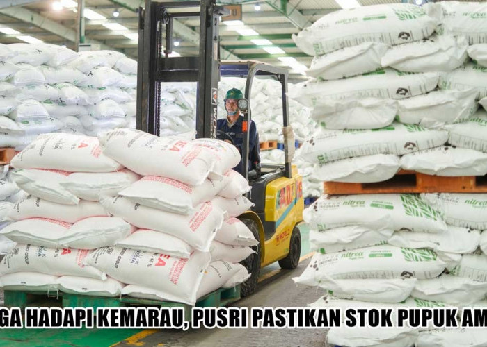 Siaga Hadapi Kemarau, Pusri Pastikan Stok Pupuk Aman untuk Petani