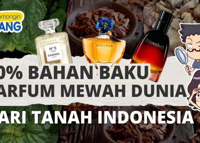Kekuatan Aroma Nusantara! Indonesia adalah Kunci di Balik Base Note Parfum Mewah Global