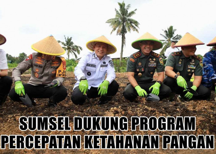 Dukung Program Percepatan Ketahanan Pangan, Pemprov Sumsel Ambil Langkah Jitu dan Terukur