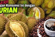 Waspada! 6 Makanan yang Tak Boleh Dikonsumsi Bersama Durian