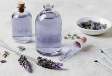 5 Parfum Lokal Aroma Lavender Terbaik yang Memberi Sensasi Tenang, Lembut dan Nyaman Sepanjang Hari