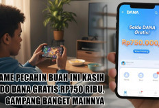 Gak Nyangka! Game Pecahin Buah Ini Kasih Saldo DANA Gratis Rp750 Ribu, Gampang Banget Mainnya