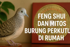 Feng Shui dan Mitos Burung Perkutut di Rumah, Benarkah Bisa Membawa Rezeki dan Keharmonisan?