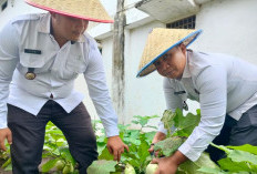 Latih Kemandirian, Warga Binaan Martapura Diberi Pelatihan Tanam Sayur