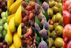Selain Buah Penghasil Minyak Zaitun untuk Kesehatan, Ini 5 Buah-buahan Lain yang  Disebut dalam Alquran 