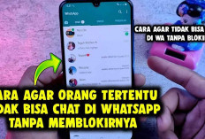 Tanpa Blokir Kontak! Ini 3 Cara Agar Orang Tidak Bisa Kirim Pesan WA, Info Baru Nih