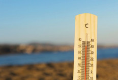 Prakiraan Cuaca di Sumsel Sabtu 18 Oktober 2025, Suhu Tertinggi 32 Derajat Celsius