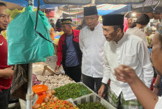 Harga Cabai Di Pasar Tradisional Palembang Meroket Hingga Menyentuh Angka Segini? Ratu Dewa Lakukan Ini 