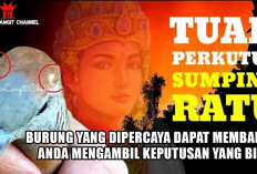 Tuah Perkutut Sumping Ratu, Burung yang Dipercaya dapat Membantu Anda Mengambil Keputusan yang Bijak
