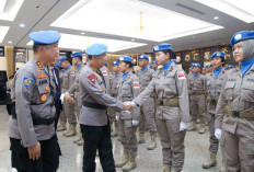 Misi Perdamaian PBB di Afrika Tengah, Satgas Ini Dilepas Kapolri, Berikut Tugasnya