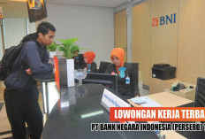 Lowongan Kerja Terbaru PT Bank Negara Indonesia (Persero) Tbk