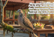 Mengenal Lebih Dekat Perkutut: Makna, Mitos, dan Kepercayaan Jawa tentang Burung Bawa Rezeki dan Ketentraman