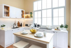 Rekomendasi Cat Dinding Dapur Warna Cream Agar Terlihat Lebih Luas dan Cerah