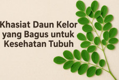 9 Khasiat Daun Kelor yang Menakjubkan untuk Kesehatan, Superfood Alami yang Wajib Dikonsumsi