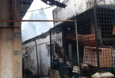 Gara-gara Korsleting Listrik Kulkas, 1 Rumah di Lorong Masjid Ludes Terbakar