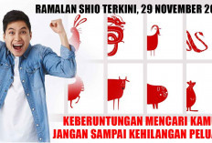 Ramalan Shio Terkini, 29 November 2024: Hari Ini, Keberuntungan Mencari Kamu, Jangan Sampai Kehilangan Peluang