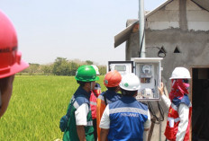 Program Electrifying Agriculture PLN Mampu Tingkatkan Produktivitas Pertanian di Ponorogo