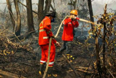 Waspada Karhutla! 2 Titik Api Ditemukan di Banyuasin, 6 Hektare Lahan Hangus Terbakar