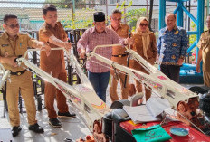 AMAZING! Pemkab Lahat Serahkan Alsintan dan Dana Rp 1,1 M kepada Koptan, Ini Tujuannya 