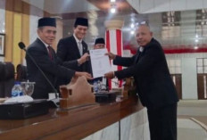 Anggota DPRD Fraksi PDI P Minta Perbaikan Jalan Rusak Ruas Betung-Payaraman! 