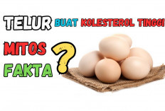 MITOS Atau FAKTA! Makan Telur Buat Kolesterol Tinggi, Simak Artikel Ini