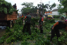  Babinsa Kodim Palembang Gerak Cepat Evakuasi Pohon Tumbang, Begini Aksinya