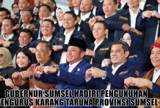 Baru Dilantik! Karang Taruna Sumsel Ditetapkan sebagai Inspirasi Nasional, ini Kata Ketua Umum PNKT