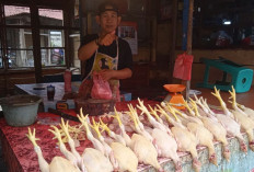 Harga Ayam Potong di Lubuklinggau Tembus 40.000 Per Kg, Penjual Sepi Pengusaha Rumah Makan Gigit Jari