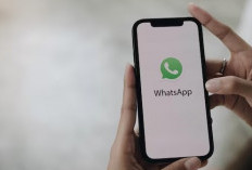 WhatsApp Menghadirkan Fitur Verifikasi Akun via Email, Update WhatsApp Mu Sekarang