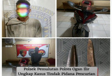 Gasak Sepada Motor Kades, Warga Pemulutan Selatan Ogan Ilir Ini Diringkus Polisi
