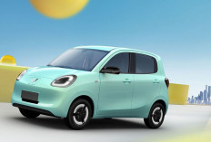 7 Rekomendasi Mobil Listrik Murah di Bawah Rp 100 Juta, Cocok Untuk Keluarga Muda!