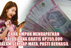 Mudah Banget! Ini Cara Ampuh Mendapatkan Saldo DANA Gratis Rp255.000 dalam Sekejap Mata, Pasti Berhasil