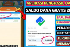 4 Aplikasi Terbaru 2024 yang Dapat Menghasilkan Saldo DANA Gratis, Terakhir Paling Populer di Indonesia