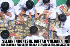 Selain Indonesia, Daftar 4 Negara ini Menerapkan Program Makan Bergizi Gratis di Sekolah!