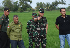 Waduh! Danrem Gapo Meninjau Program Opla di Ogan Ilir, Hasilnya Sebagai Berikut