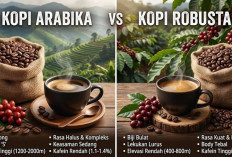 Kopi Arabika Apa Robusta, Mana yang Lebih Ramah Lambung?