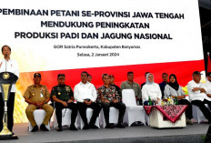 Presiden Jokowi Apresiasi Peran Petani Tingkatkan Produksi Jagung