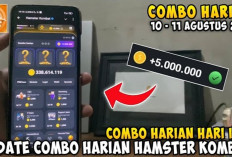 Update Combo Harian Hamster Kombat 11 Agustus 2024, Dapatkan Dapatkan Jutaan Koin Gratis!