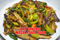 Makan Siang Lebih Nikmat! Yuk Bikin Ikan Tongkol Masak Cabai Hijau, Rasanya Bikin Nagih