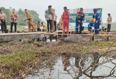 Dukung Pembangunan di Sumsel, Kilang Pertamina Plaju dan Pemprov Sumsel Bangun Taman Rawa di Jakabaring
