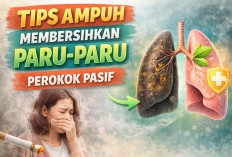 Jarang Disadari! 4 Tips Membersihkan Paru-paru Perokok Pasif Secara Alami Agar Napas Tetap Lega Setiap Hari