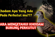 5 Cara Paling Jitu Mengenali Burung Perkutut yang Dihuni Khodam, Warisan Ilmu Spiritual dari Leluhur