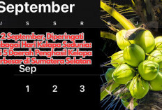2 September, Diperingati Sebagai Hari Kelapa Sedunia: 5 Daerah Penghasil Kelapa Terbesar di Sumatera Selatan