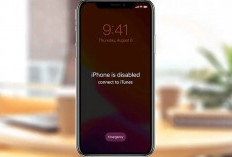 iPhone Terus-terusan Minta Password, Begini Cara Memperbaikinya 