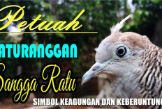 Perkutut Songgo Ratu, Simbol Keagungan dan Keberuntungan
