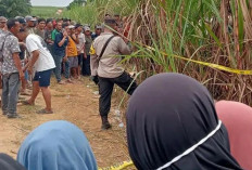 Hampir Satu Bulan Penemuan Mayat Wanita Hamil Belum Terungkap, Netizen Desak Polres Ogan Ilir Tangkap Pelaku