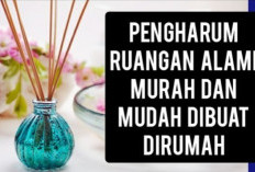 Lebih Sehat dan Ramah Lingkungan! 6 Bahan Alami yang Terbukti Efektif Jadi Pengharum Ruangan Favorit Keluarga