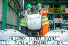 Pusri Pastikan Stok Pupuk Awal 2026 Melimpah, Siap Dukung Musim Tanam, Petani Indonesia Tersenyum Bahagia!